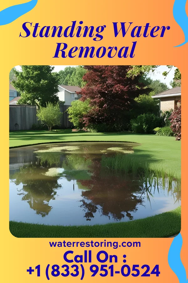 Standing Water Removal in Haverhill, IA